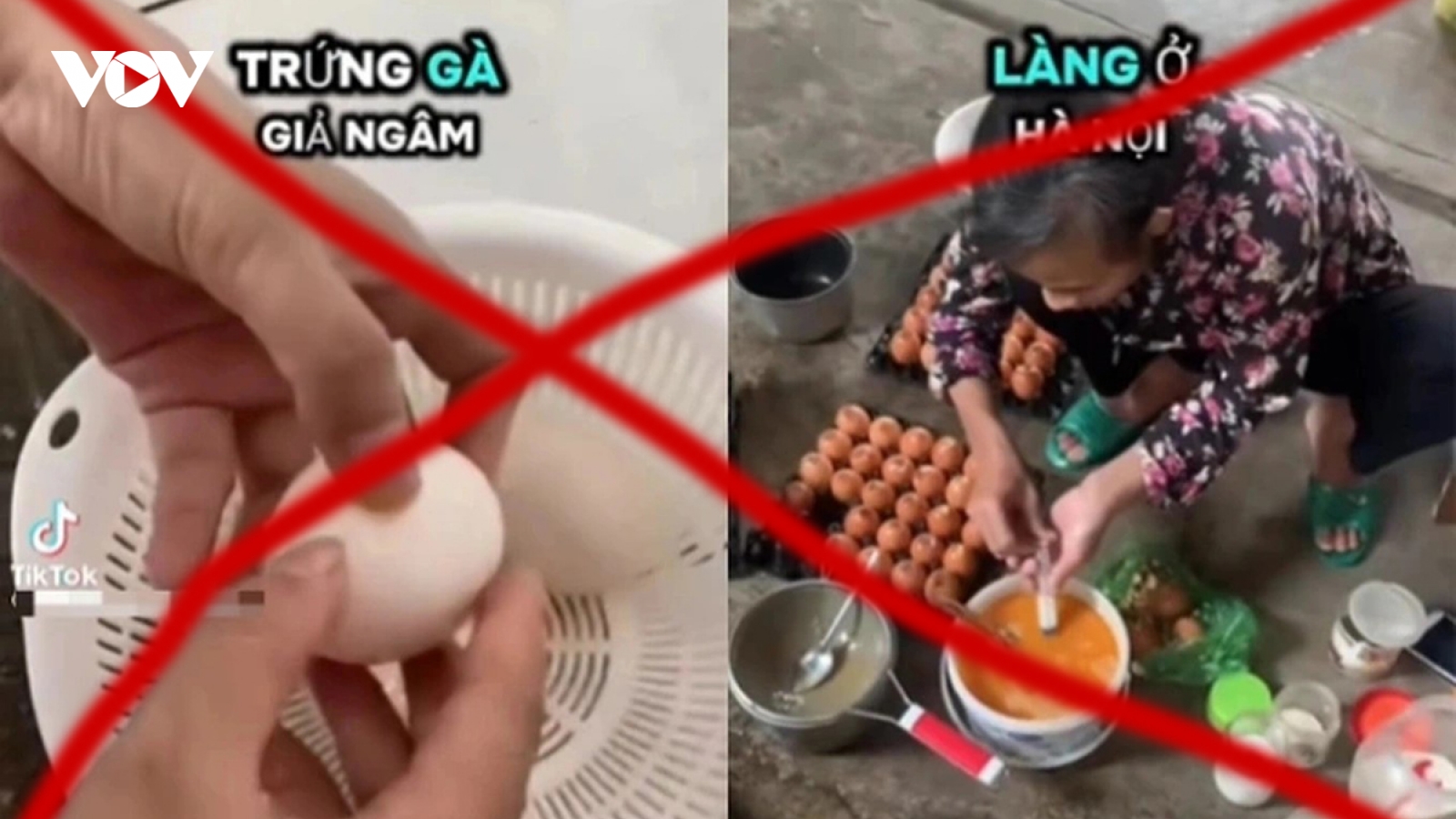 "Thông tin trứng gà giả trên mạng xã hội chỉ là tin đồn thất thiệt"