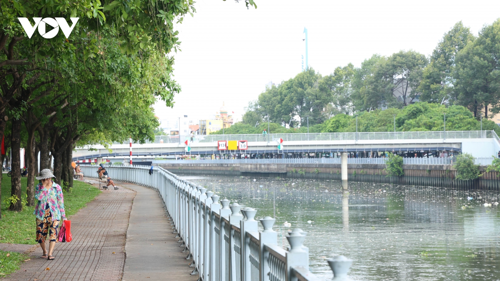 Kênh Nhiêu Lộc - Thị Nghè, hàng loạt cá chết và ngoi ngóp thở