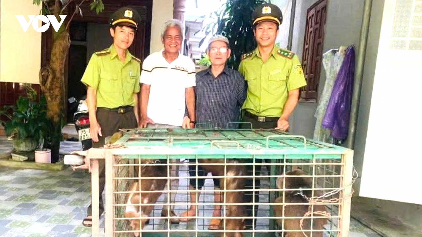 Người dân thành phố Huế giao nộp nhiều động vật hoang dã quý hiếm