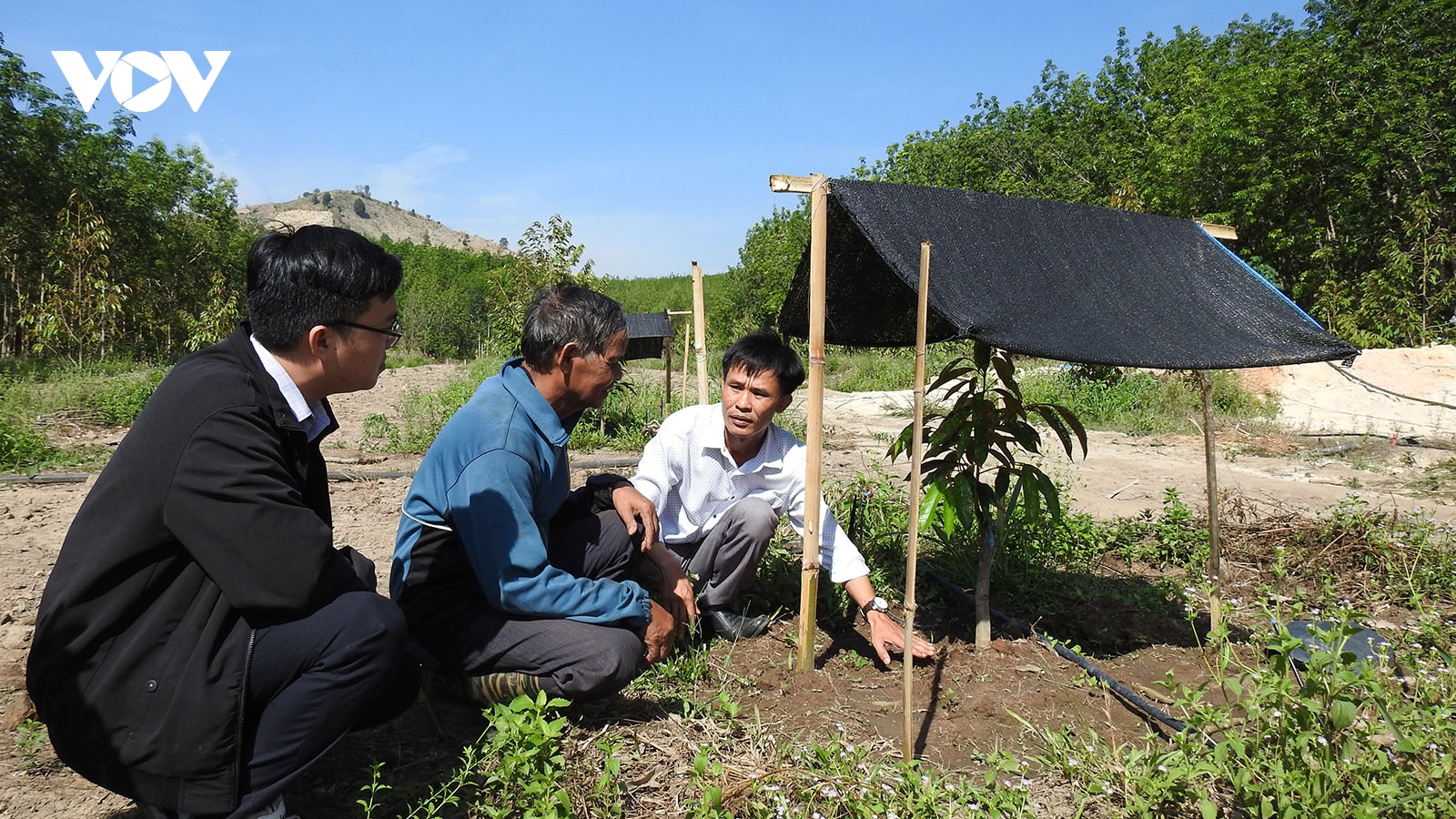 Kon Tum hỗ trợ hơn 16.500 hộ dân cải tạo vườn tạp, phát triển kinh tế