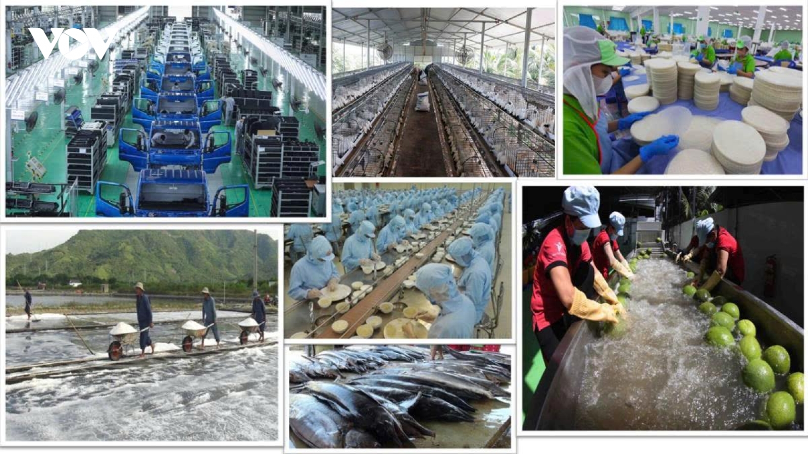 Phát triển kinh tế tư nhân: Nếu đã mở cao tốc cần cho số đông đi vào