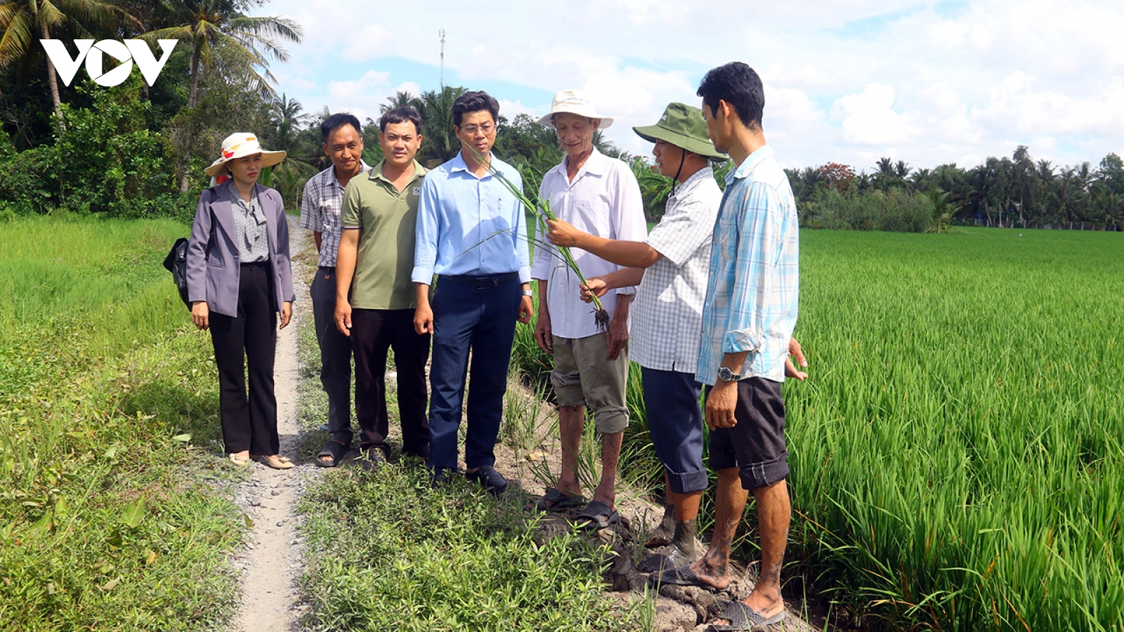 Khuyến nông thay đổi sản xuất nông nghiệp theo hướng nâng cao giá trị nông sản