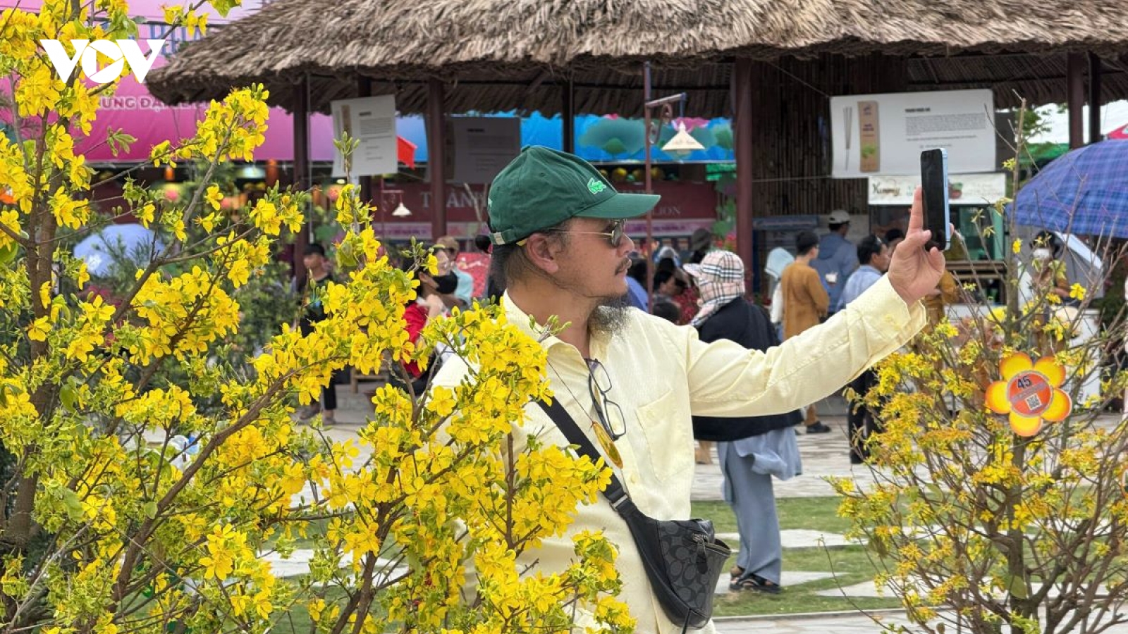 Bất ngờ vườn mai nở rộ trong dịp Đại lễ Vesak