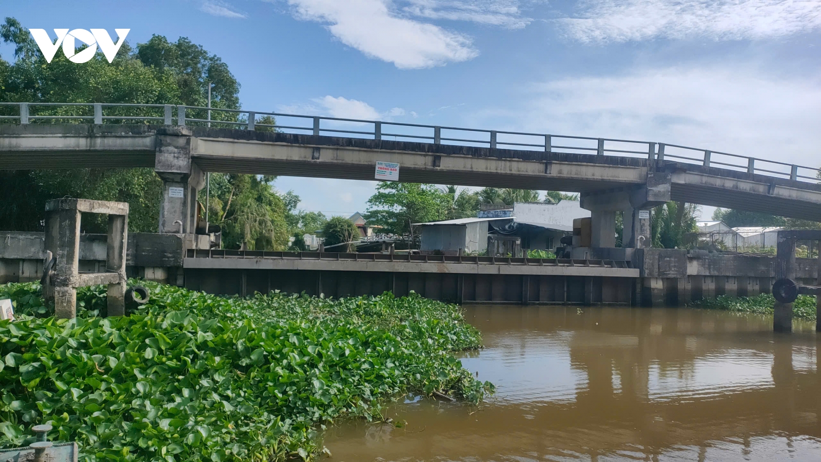 Nồng độ mặn tại huyện Long Mỹ (Hậu Giang) vẫn ở mức cao