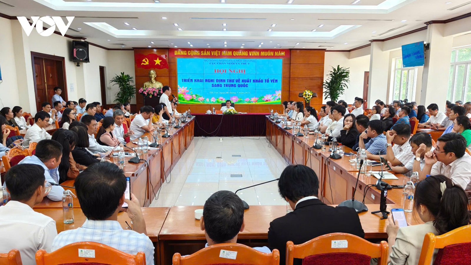 Tin vui cho tổ chức, cá nhân xuất khẩu tổ yến sang Trung Quốc
