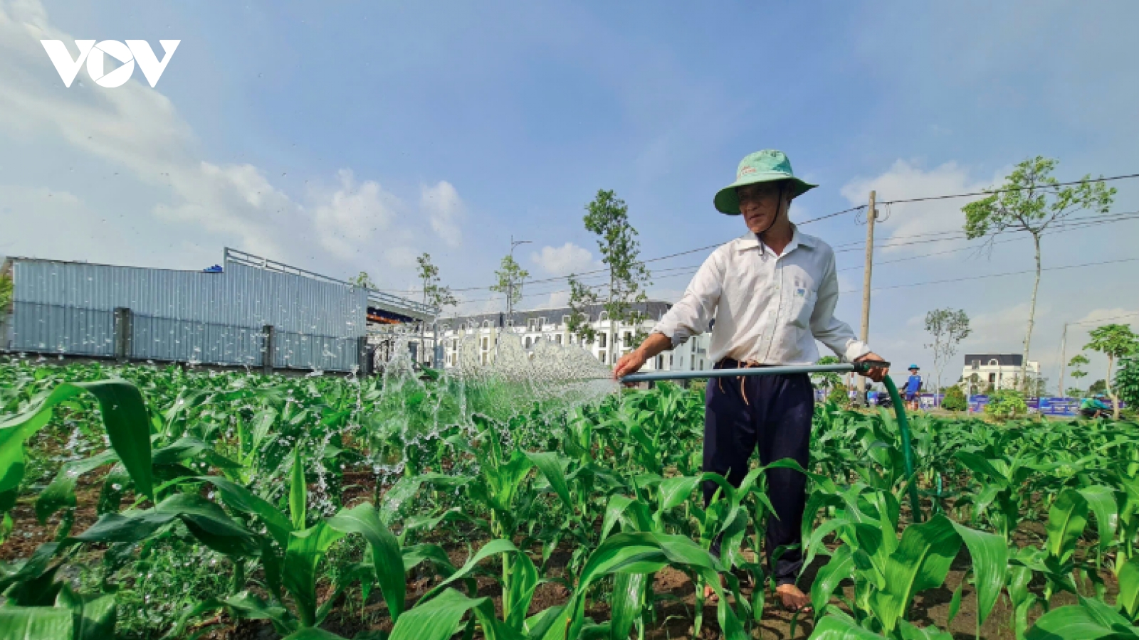 Nồng độ mặn ở Hậu Giang tiếp tục tăng mạnh, có nơi lên tới gần 10‰