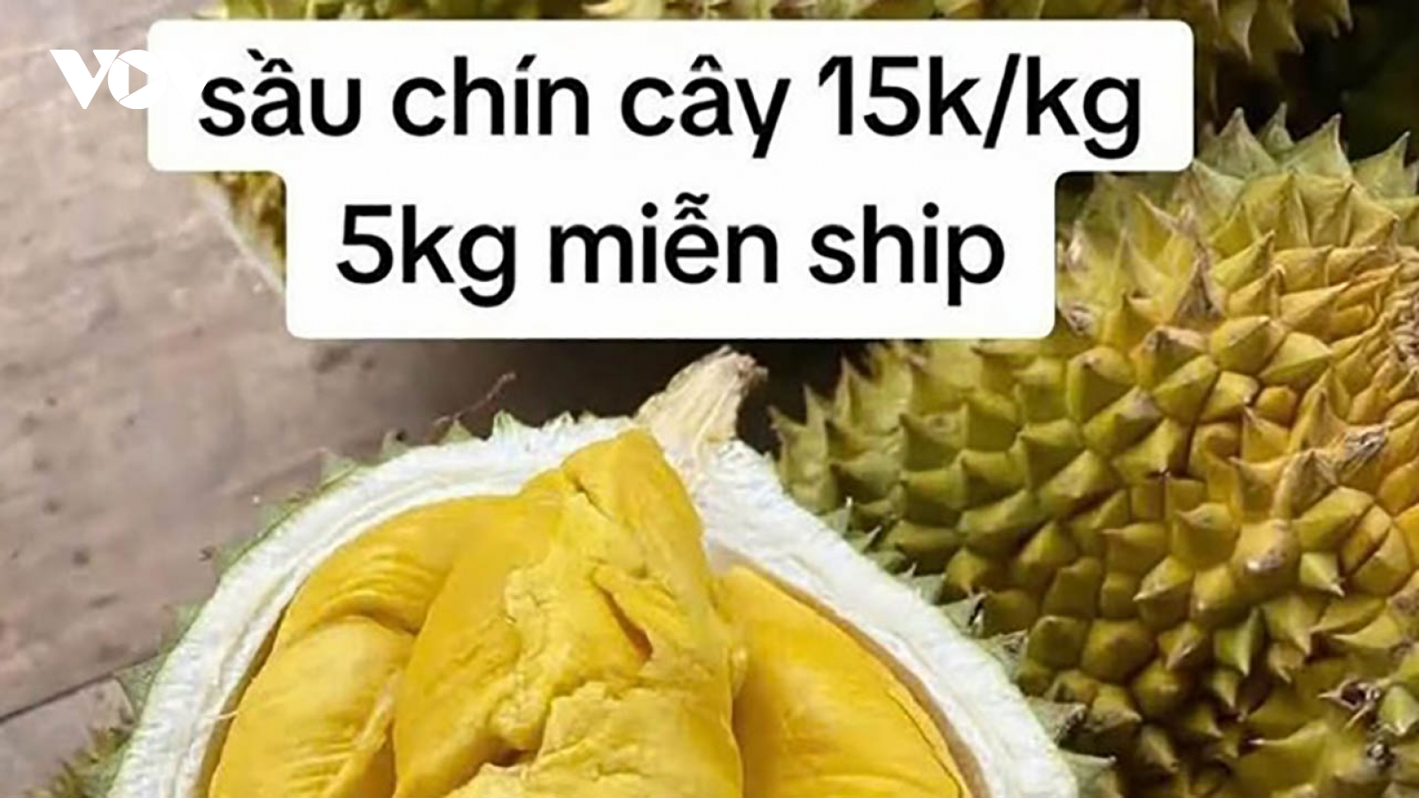 Sầu riêng giá rẻ trên mạng: Nhiều người mắc bẫy tương tác, mất tiền oan