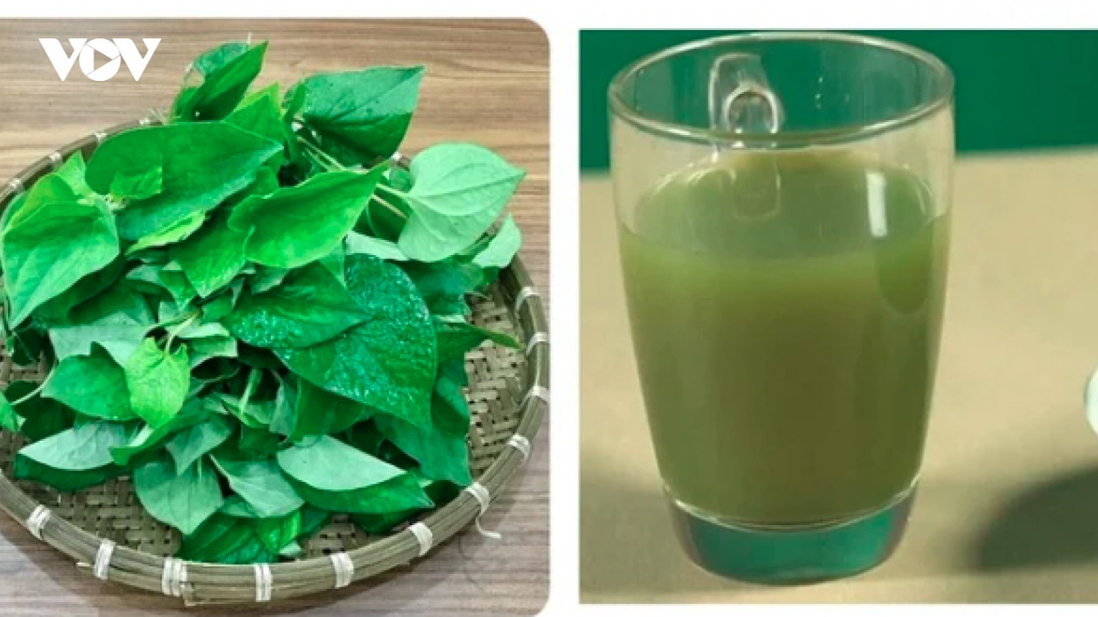 Những người không nên uống nước ép rau diếp cá
