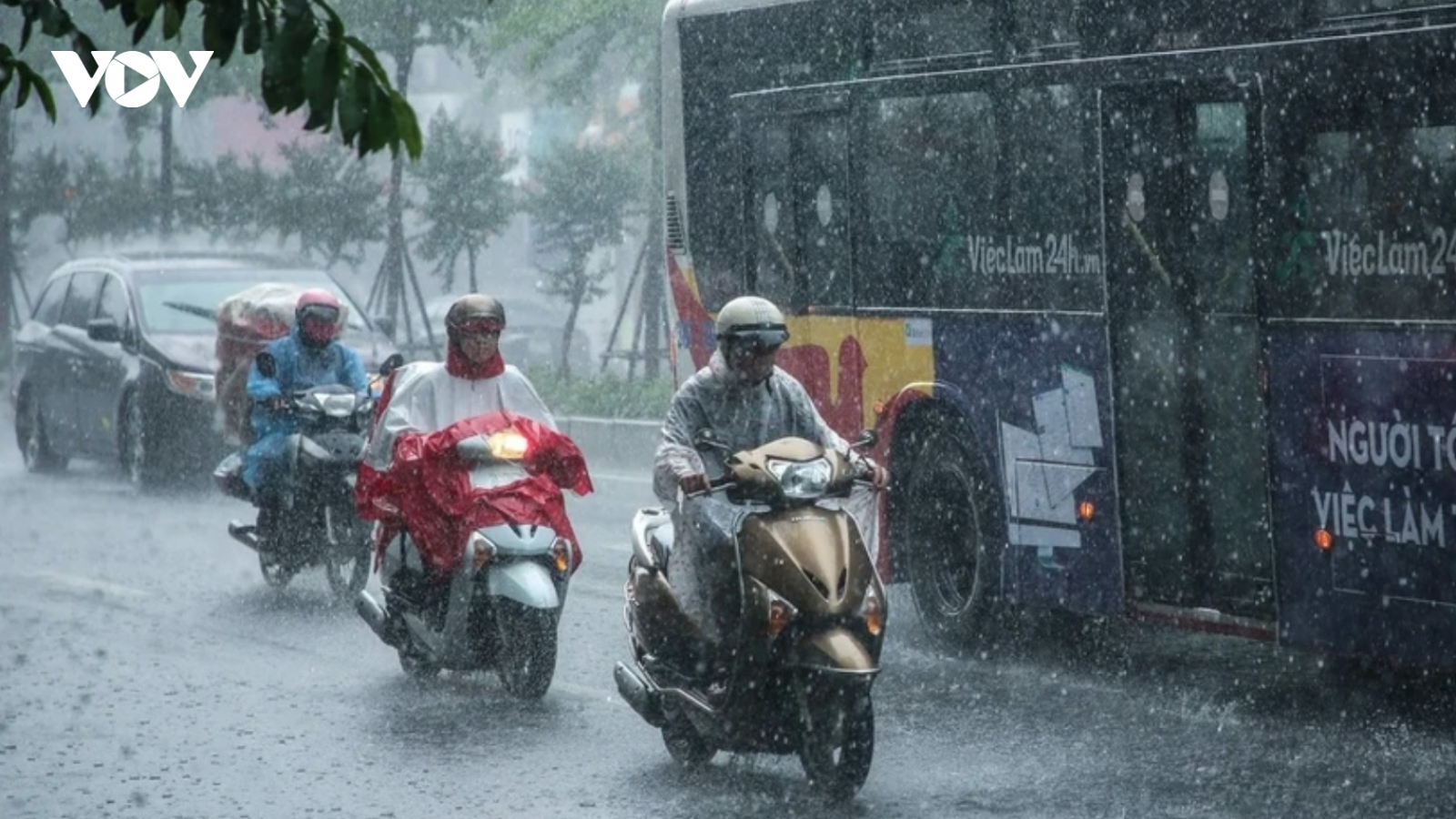 Thời tiết ngày mai 24/5: Xuất hiện mưa to và dông trên cả nước