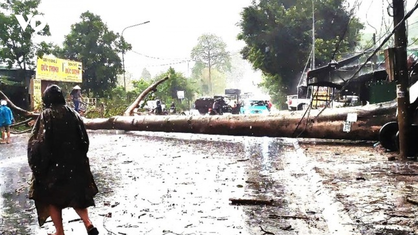 Mưa lớn kèm đá quật ngã cây đè trúng xe cứu thương