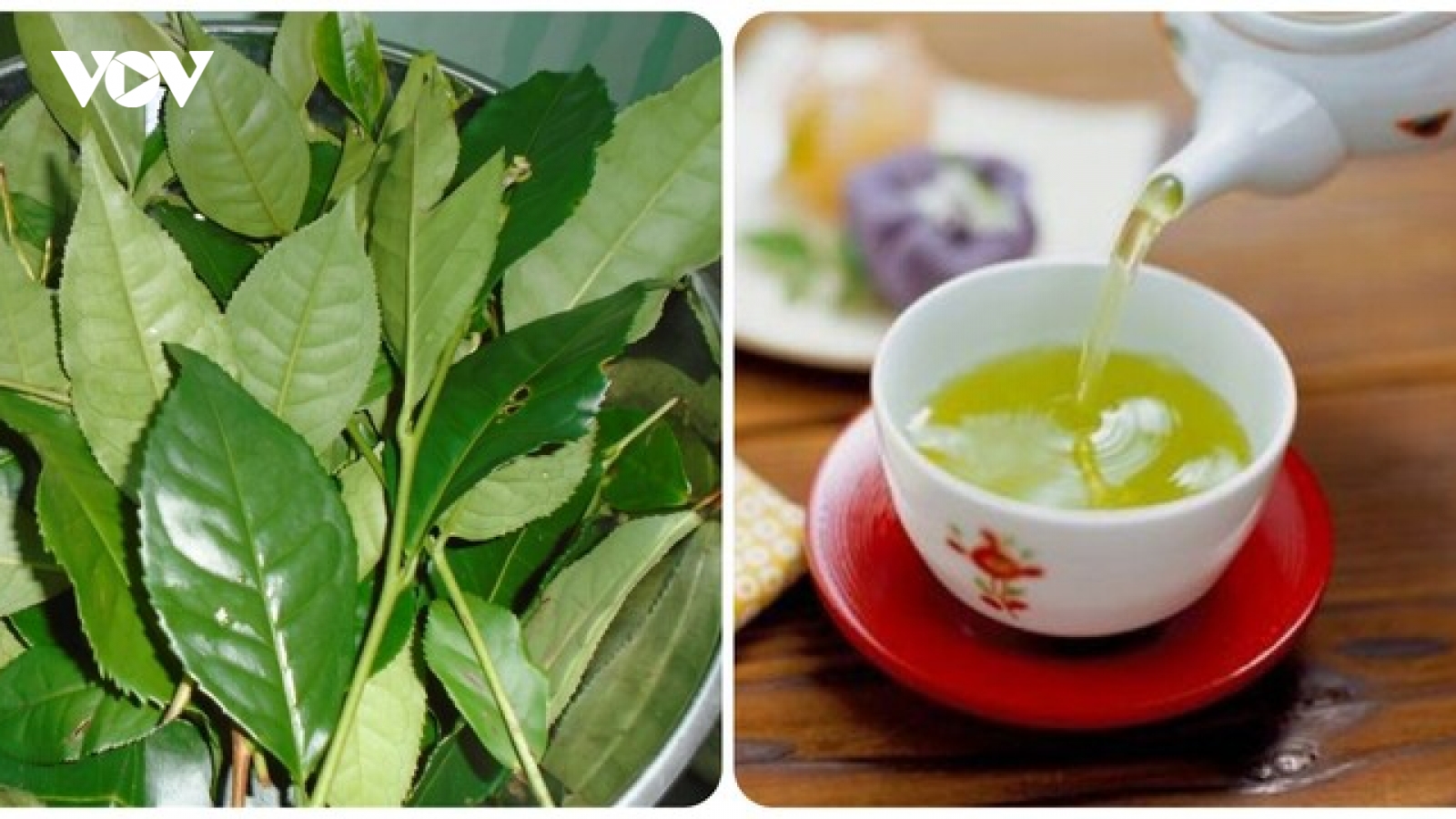 4 không khi uống nước chè xanh để không gây hại cho sức khỏe
