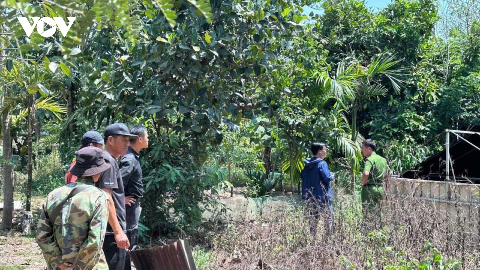 Hai người đàn ông ở Đắk Nông tử vong nghi bị điện giật