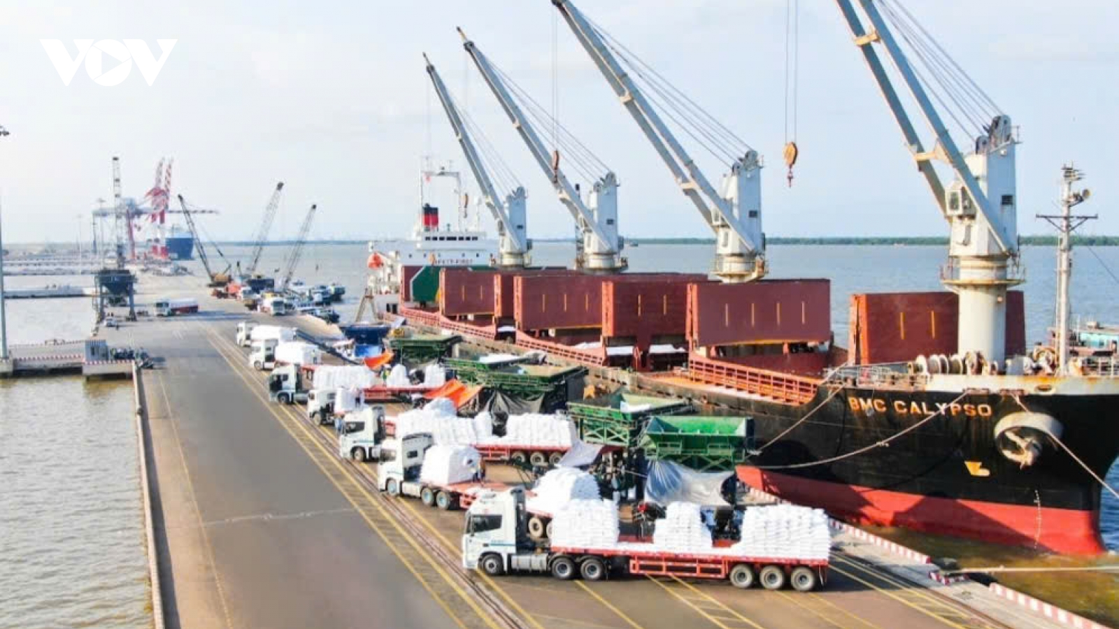 Doanh nghiệp xuất khẩu TP.HCM có thêm kênh theo dõi đàm phán thuế quan