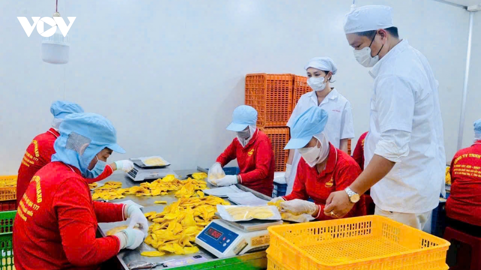 Nghị quyết 68 giúp doanh nghiệp tư nhân Tiền Giang "giương buồm” ra biển lớn