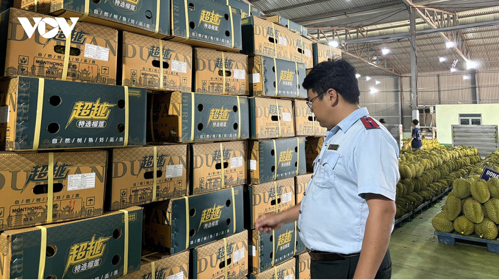 Đắk Lắk hướng đến xây dựng thủ phủ sầu riêng quốc gia