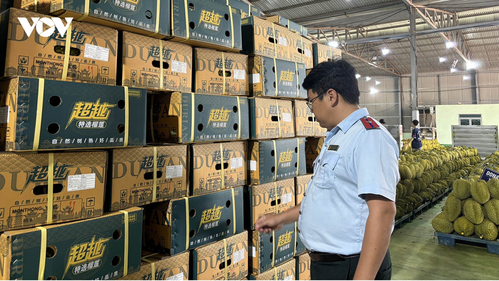 Đắk Lắk hướng đến xây dựng thủ phủ sầu riêng quốc gia