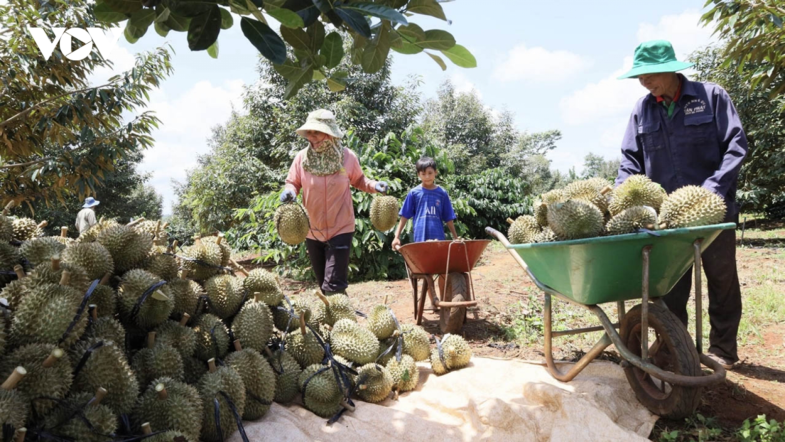 Xuất nhập khẩu bứt phá, 32 mặt hàng vượt mốc 1 tỷ USD kim ngạch