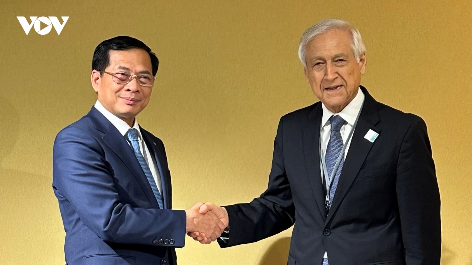 Phó Thủ tướng Bùi Thanh Sơn tiếp Đặc phái viên của Tổng thống Chile về Đại dương