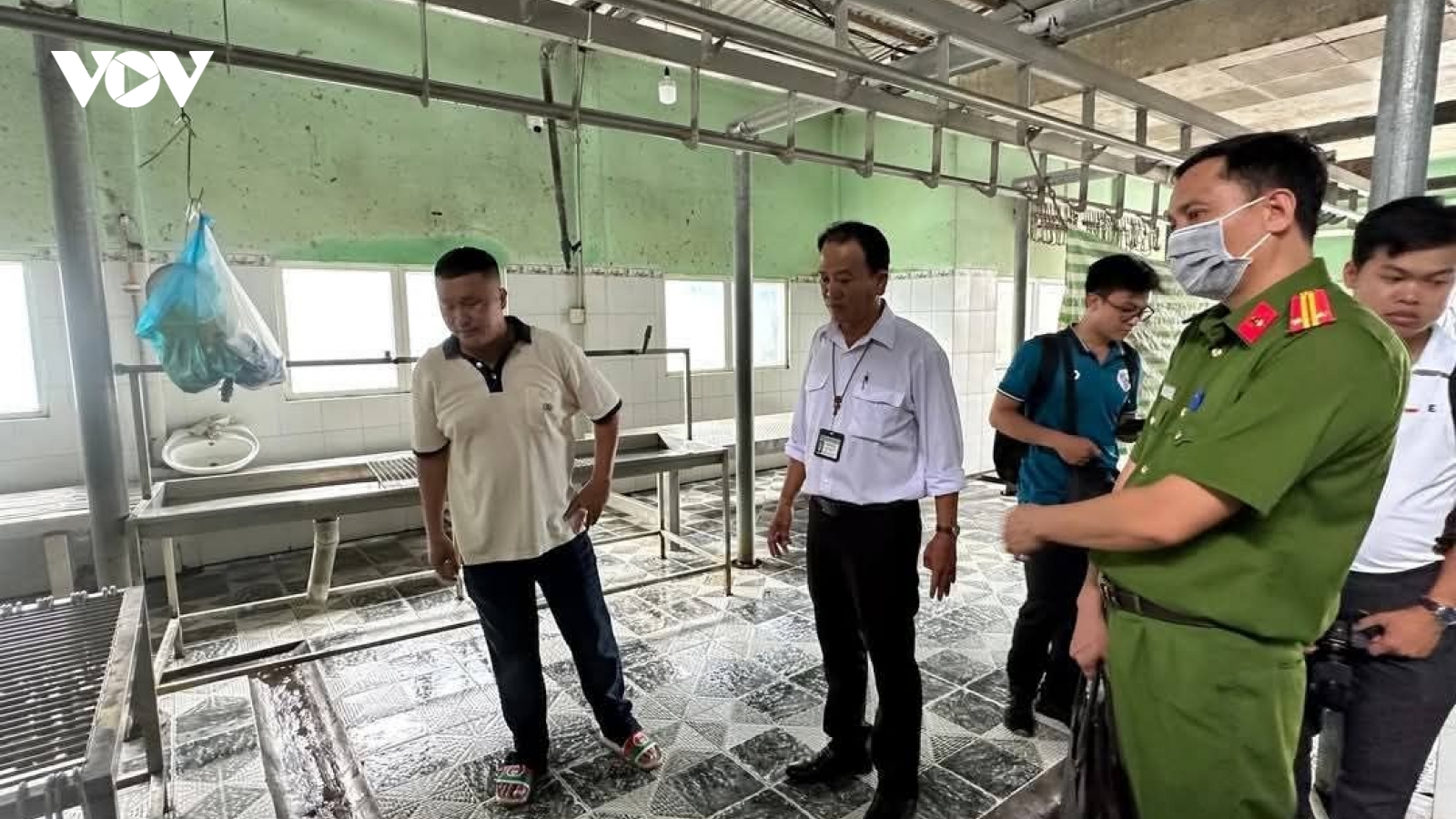 Vụ C.P bị tố bán heo bệnh: Kỷ luật cảnh cáo cán bộ thú y đóng dấu kiểm dịch sai