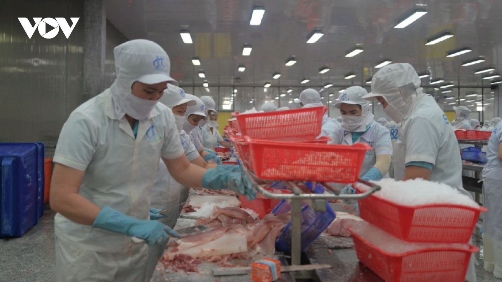 US exempts seven Vietnamese tra fish exporters from anti-dumping duties