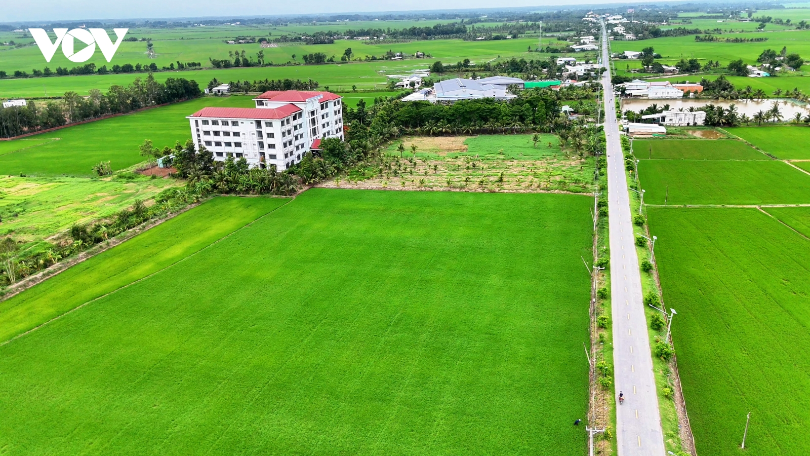 Cơ sở ĐH Công nghiệp Thực phẩm TP.HCM ở Trà Vinh: 17 năm phủ bụi hoang tàn