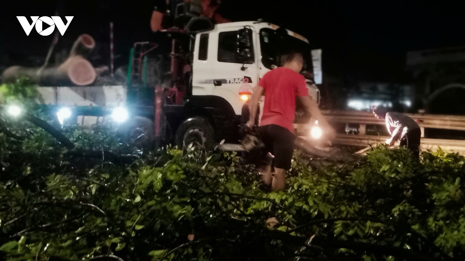 Cây đổ, mái tôn bay trong giông lốc chiều tối 15/6 ở Hà Nội