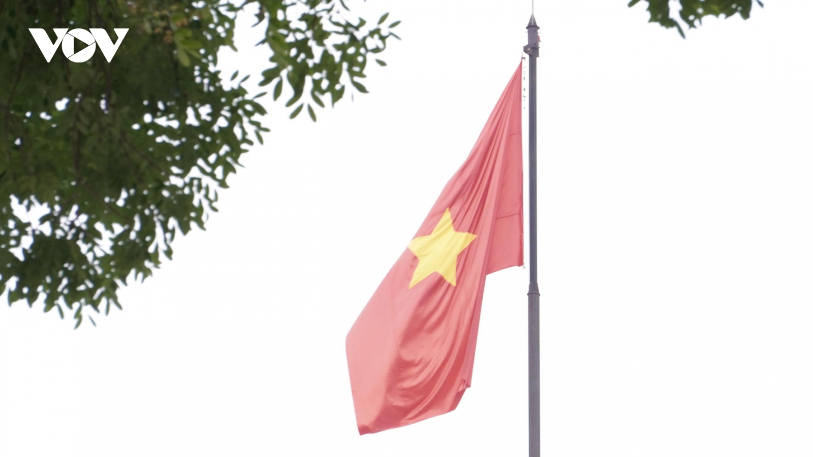 ​Đất chè Thái Nguyên rực rỡ cờ hoa chào đón sự kiện lịch sử