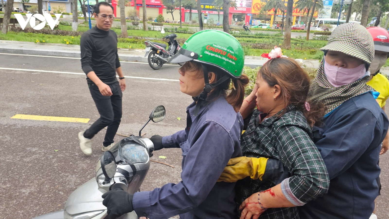 Gió lớn, cây xanh ở Bình Định bật gốc, đè trúng người phụ nữ đi xe máy