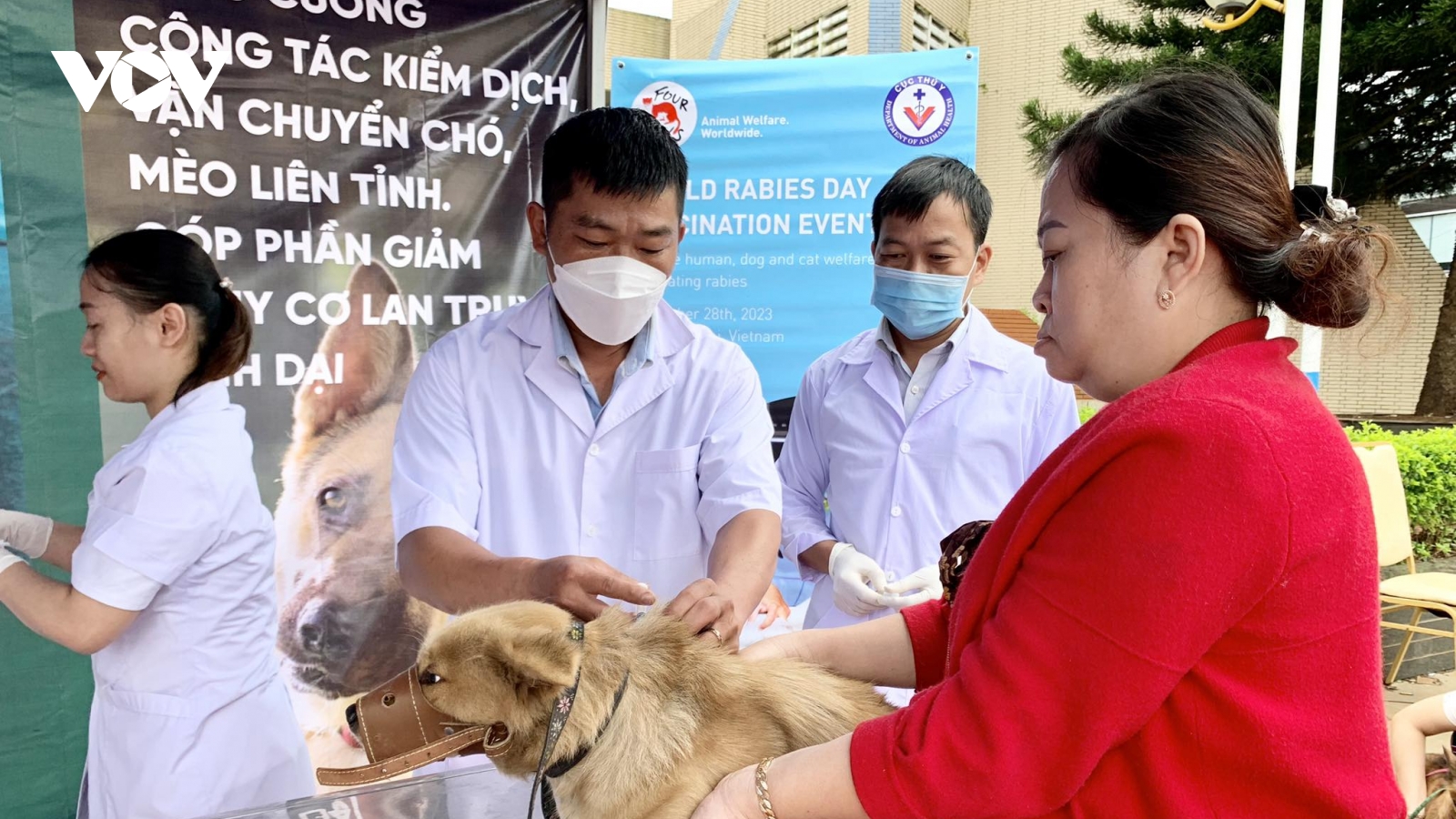 Thêm một ca tử vong do bệnh dại tại Gia Lai