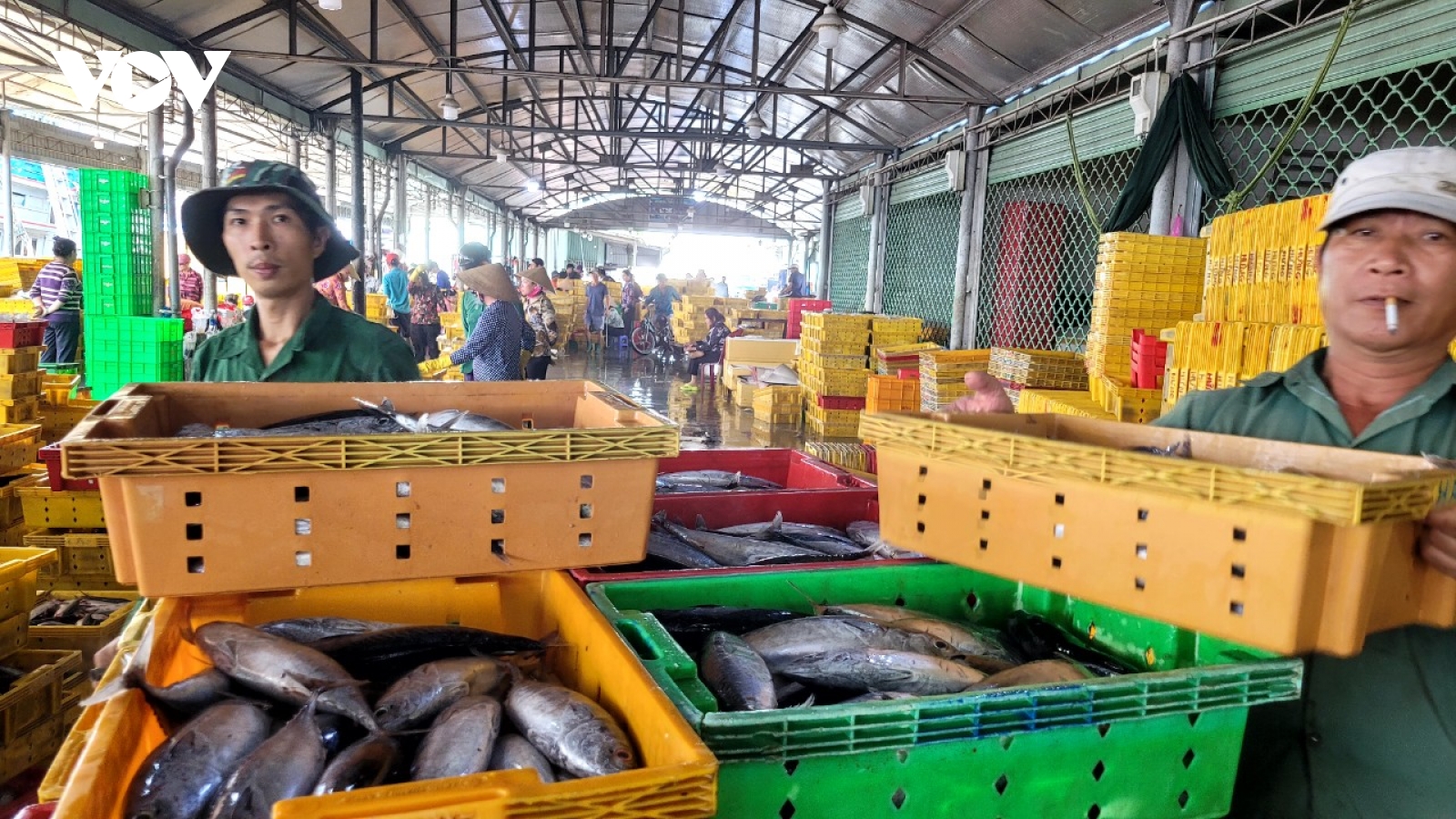 Nghề đánh bắt hải sản ở Tiền Giang khó khăn, đoàn tàu ra khơi ngày càng giảm
