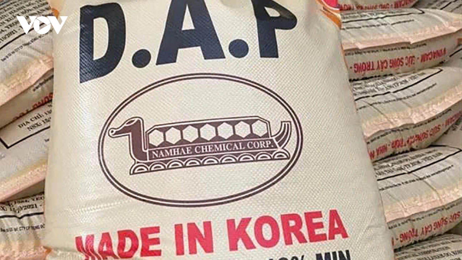 Sầu riêng “lao dốc” và sự im lặng khó hiểu từ cơ quan cấp phép phân bón DAP