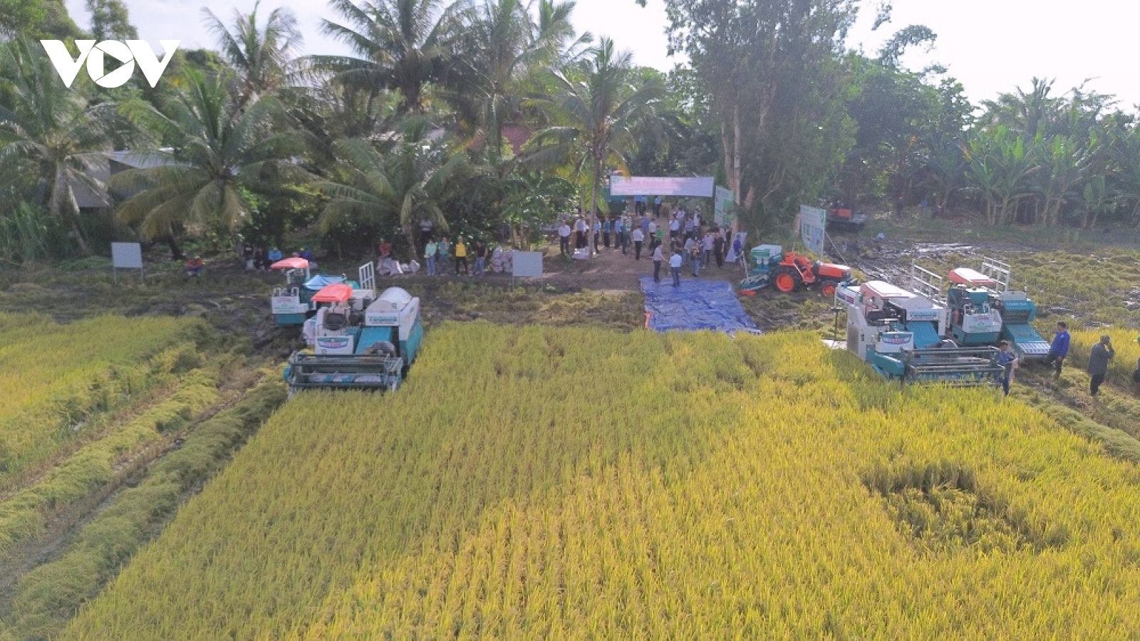 Nhãn hiệu “Gạo Việt xanh phát thải thấp” chính thức xuất khẩu