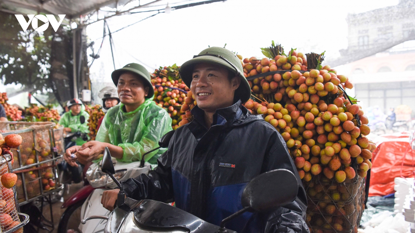 Người dân đội mưa đi bán vải thiều sớm