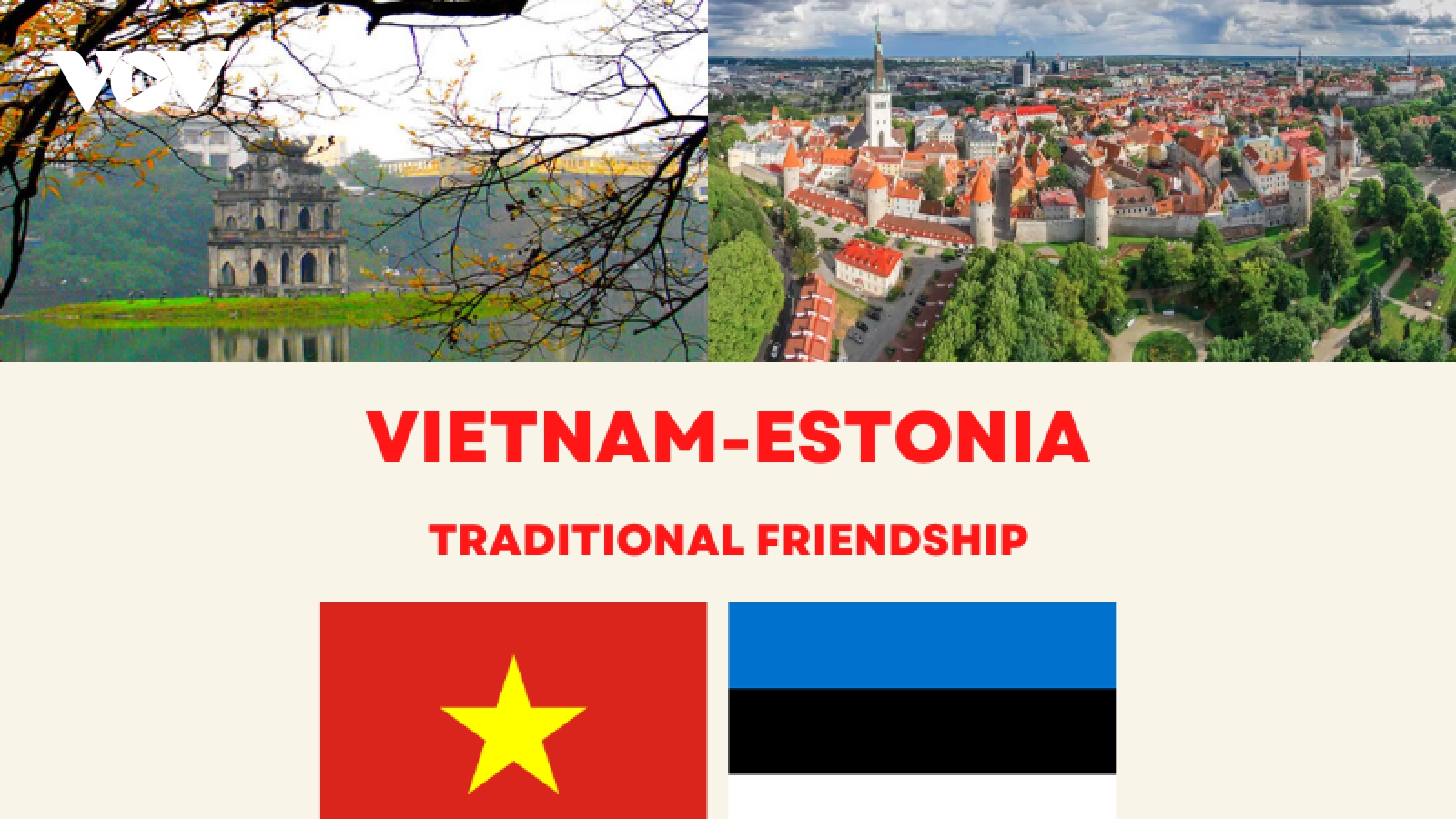 Vietnam-Estonia traditional friendship at a glance