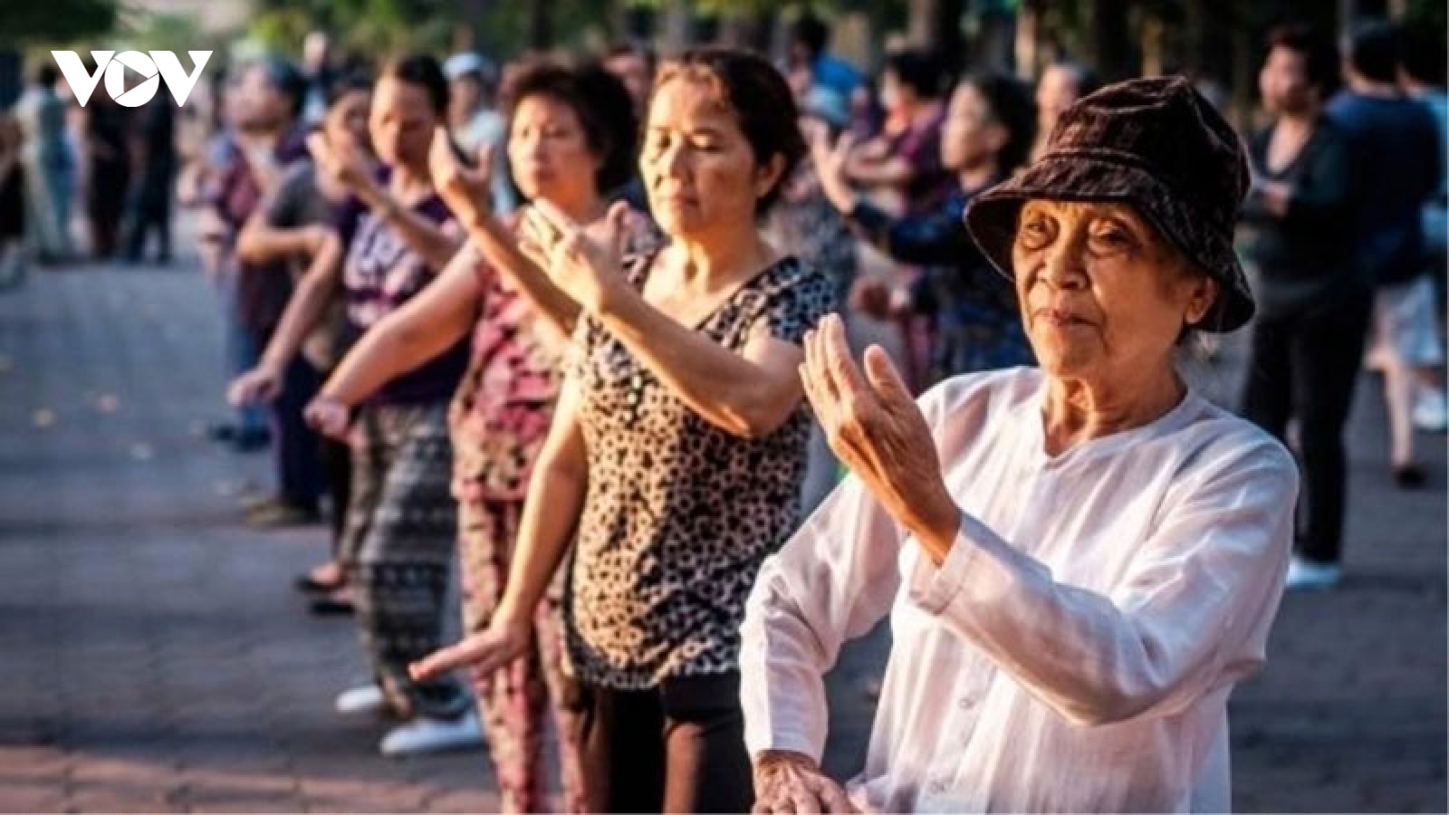 “Cơn bão” già hóa dân số có đáng lo ngại?