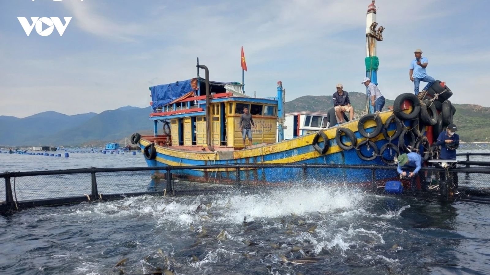 Kinh tế biển Khánh Hòa: Chuyển biến từ hệ sinh thái đến công nghệ