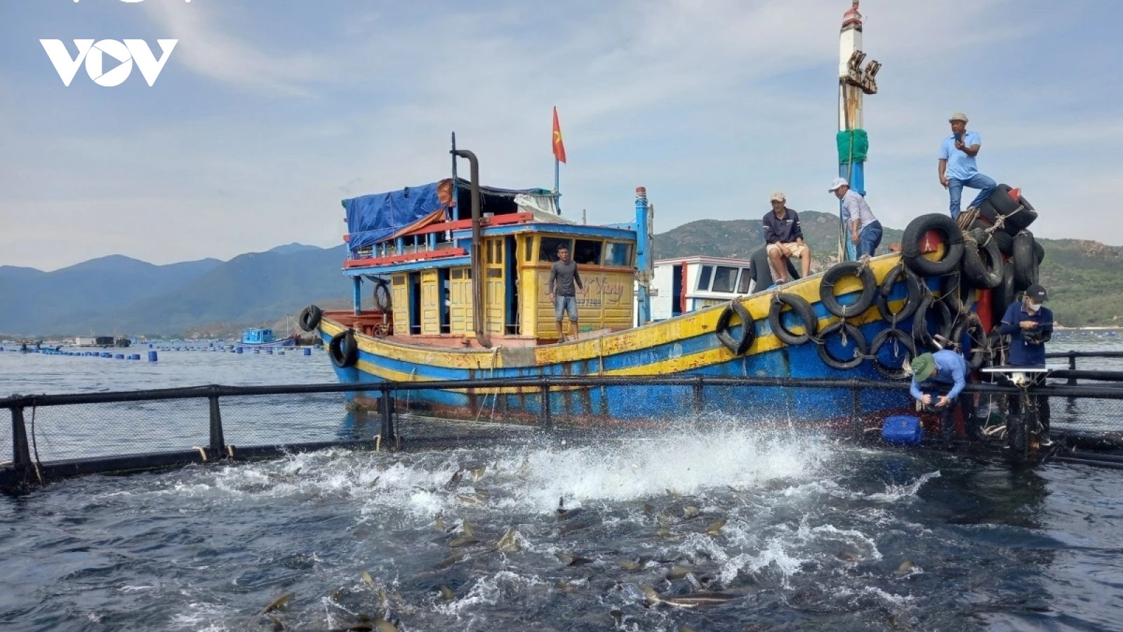 Kinh tế biển Khánh Hòa: Chuyển biến từ hệ sinh thái đến công nghệ