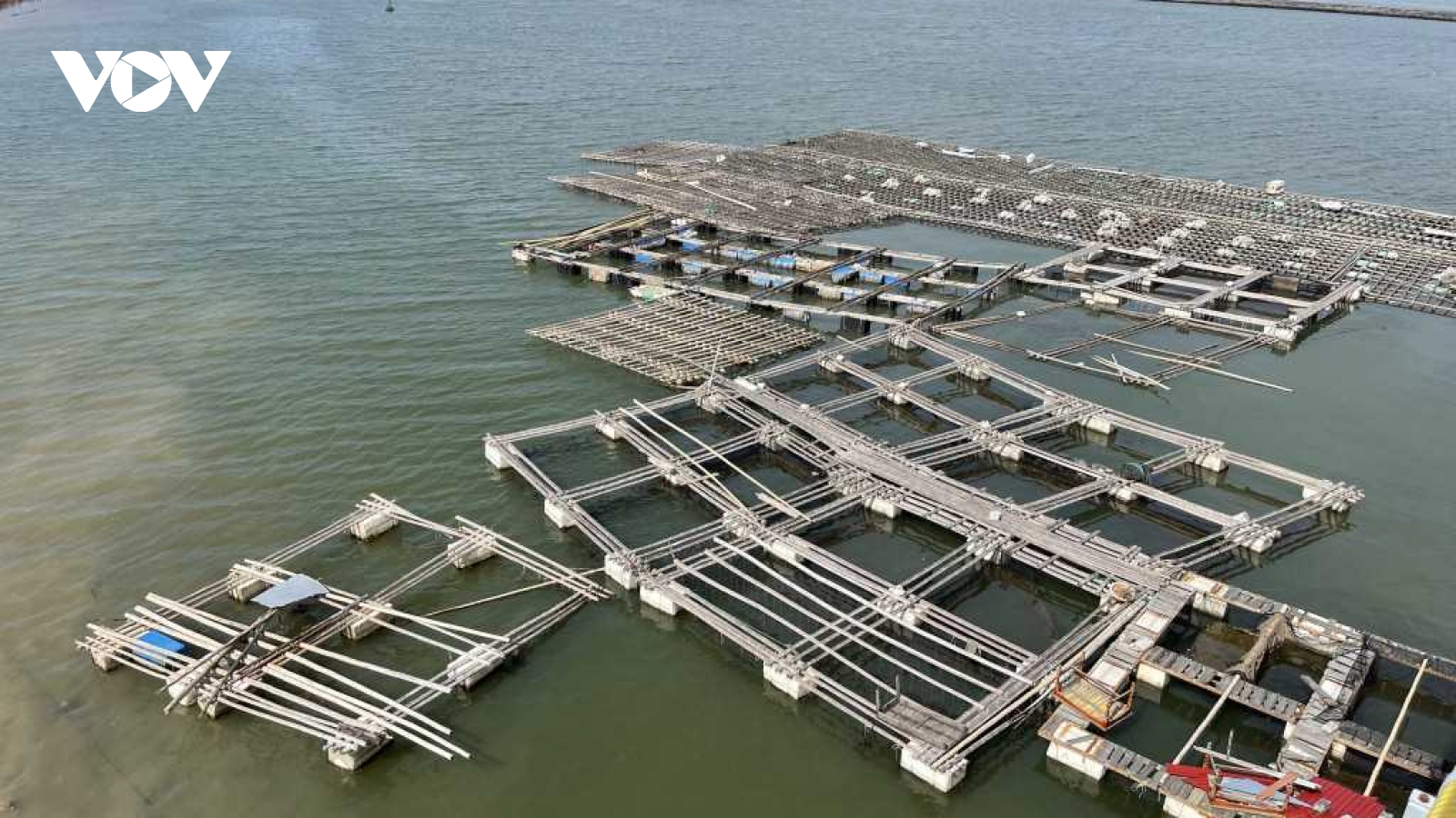Quảng Ninh khuyến khích mô hình nuôi biển đa giá trị