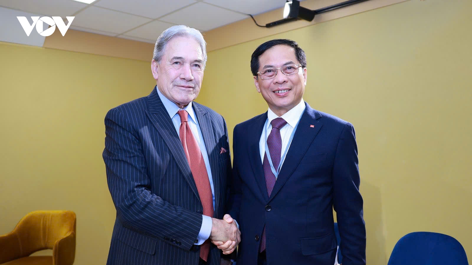Phó Thủ tướng Bùi Thanh Sơn hội kiến với Ngoại trưởng New Zealand