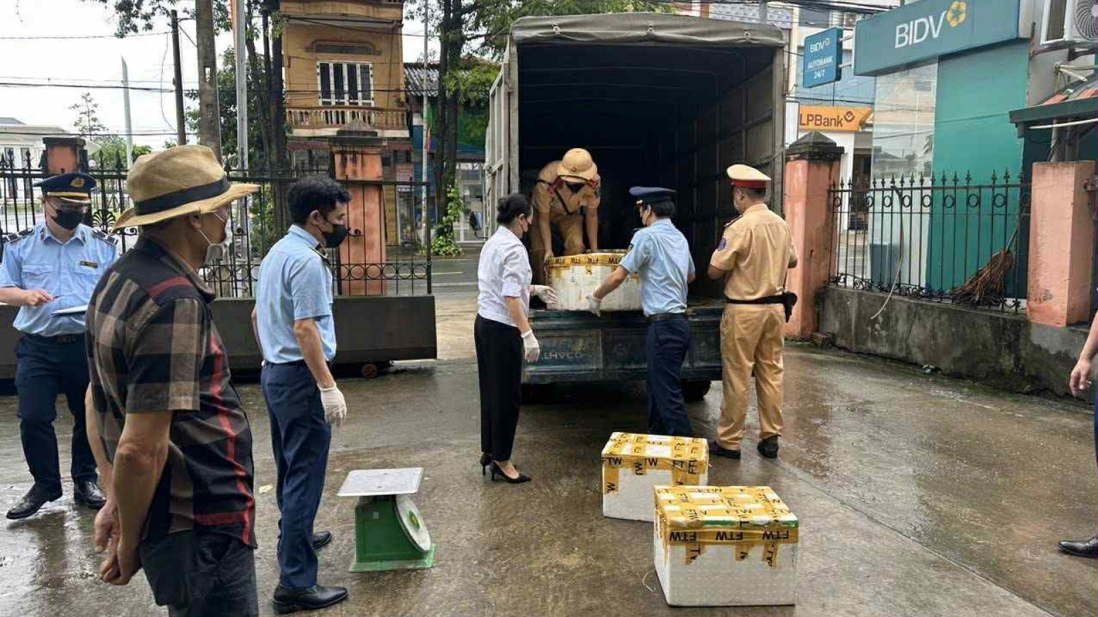 Phát hiện hơn 1 tạ nội tạng trâu, bò không rõ nguồn gốc ở Phú Thọ