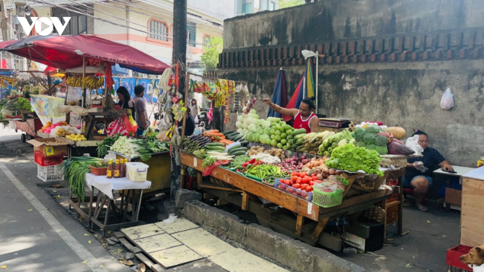 Philippines: Không có lệnh phong tỏa Metro Manila vì các ca bệnh đậu mùa khỉ