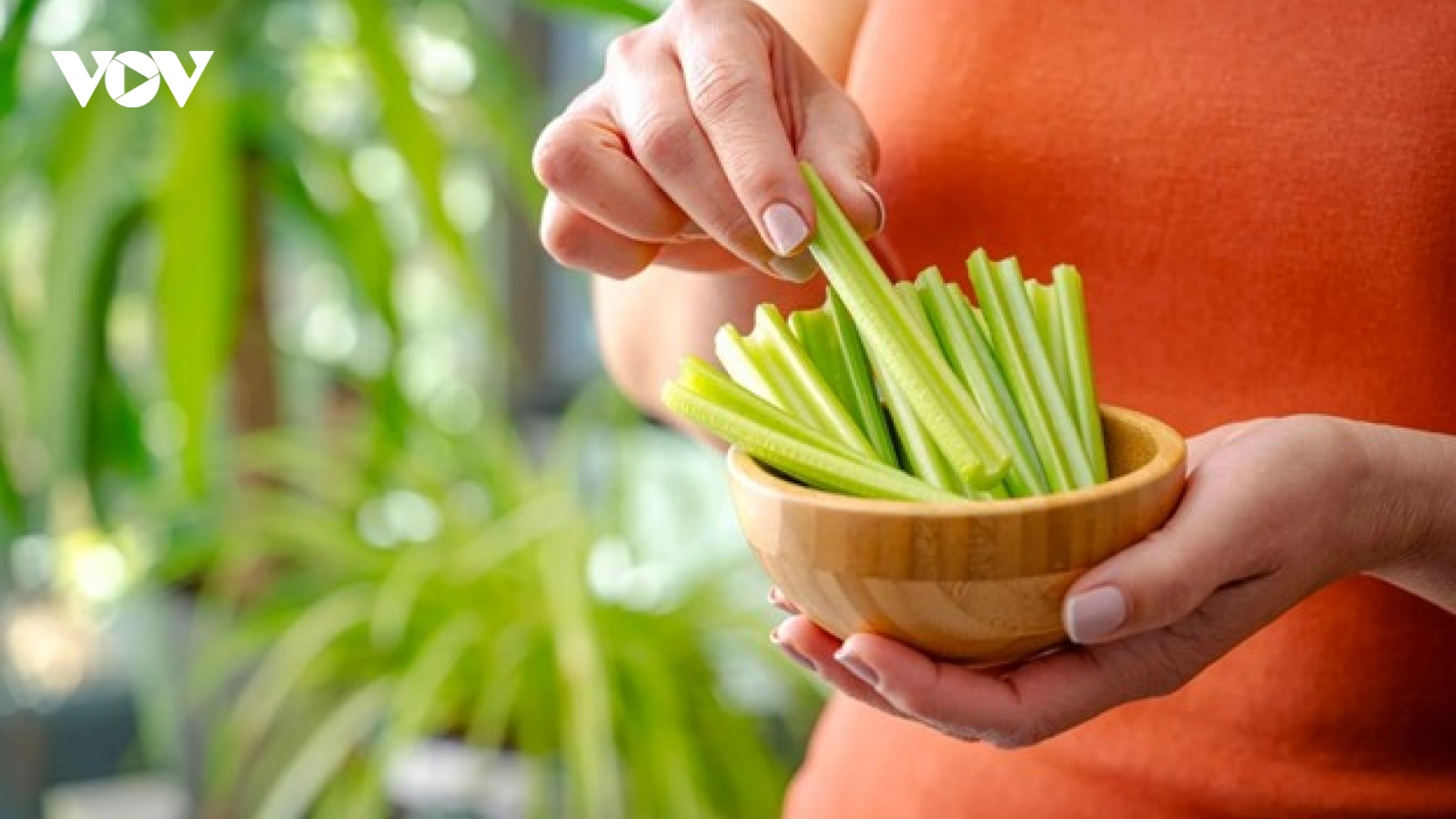 Việt Nam có "thần dược" trong giới rau củ, ăn vào khỏe đủ đường lại đẹp dáng