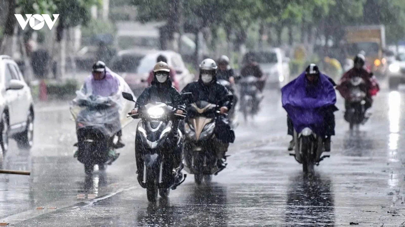 Thời tiết hôm nay 30/6: Bắc Bộ có mưa to và dông