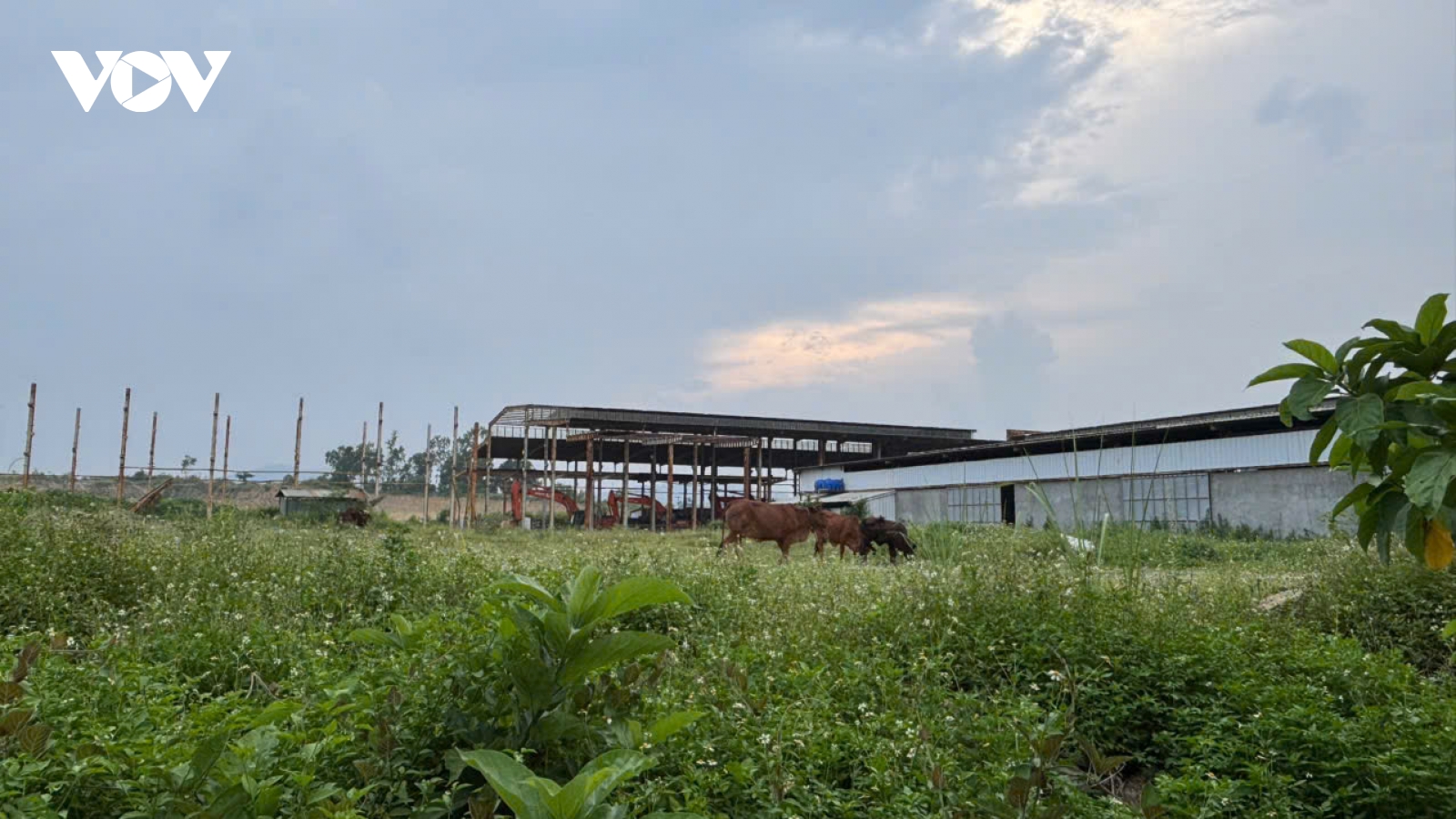 Khi nào dự án 6.900 tỷ đồng đạt kỳ vọng ban đầu đề ra?