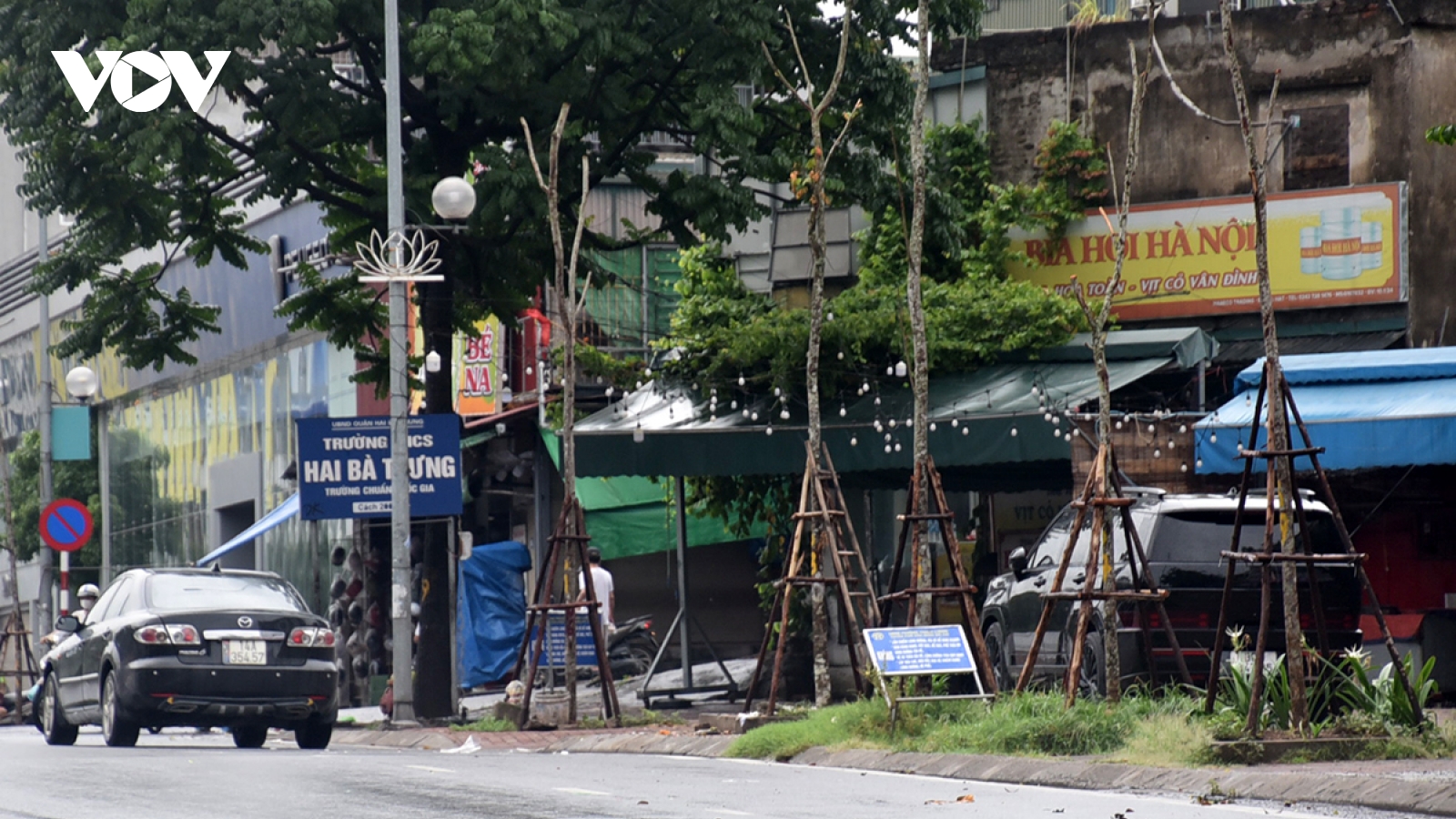 Trồng cây xanh sau bão, vì sao chỗ có chỗ không?