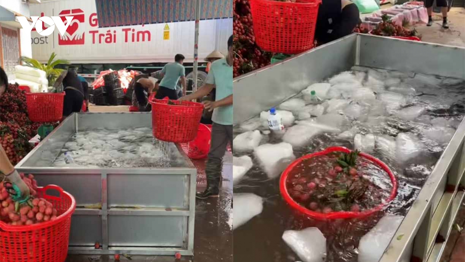 Đăng tải thông sai sự thật về vải thiều Bắc Giang, 2 trường hợp bị xử lý