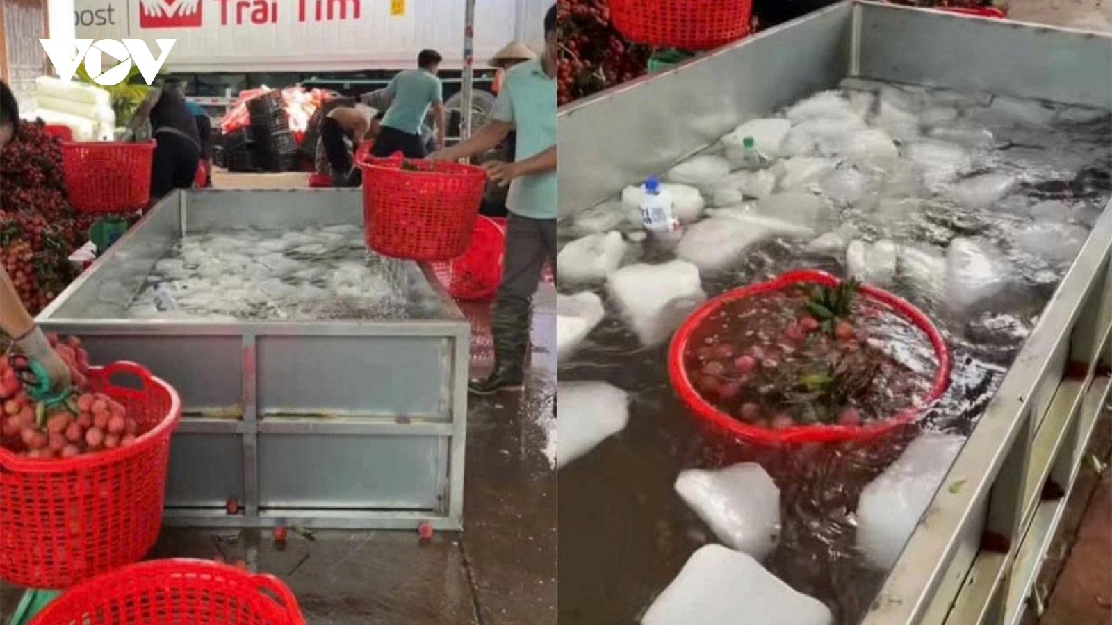 Đăng tải thông sai sự thật về vải thiều Bắc Giang, 2 trường hợp bị xử lý