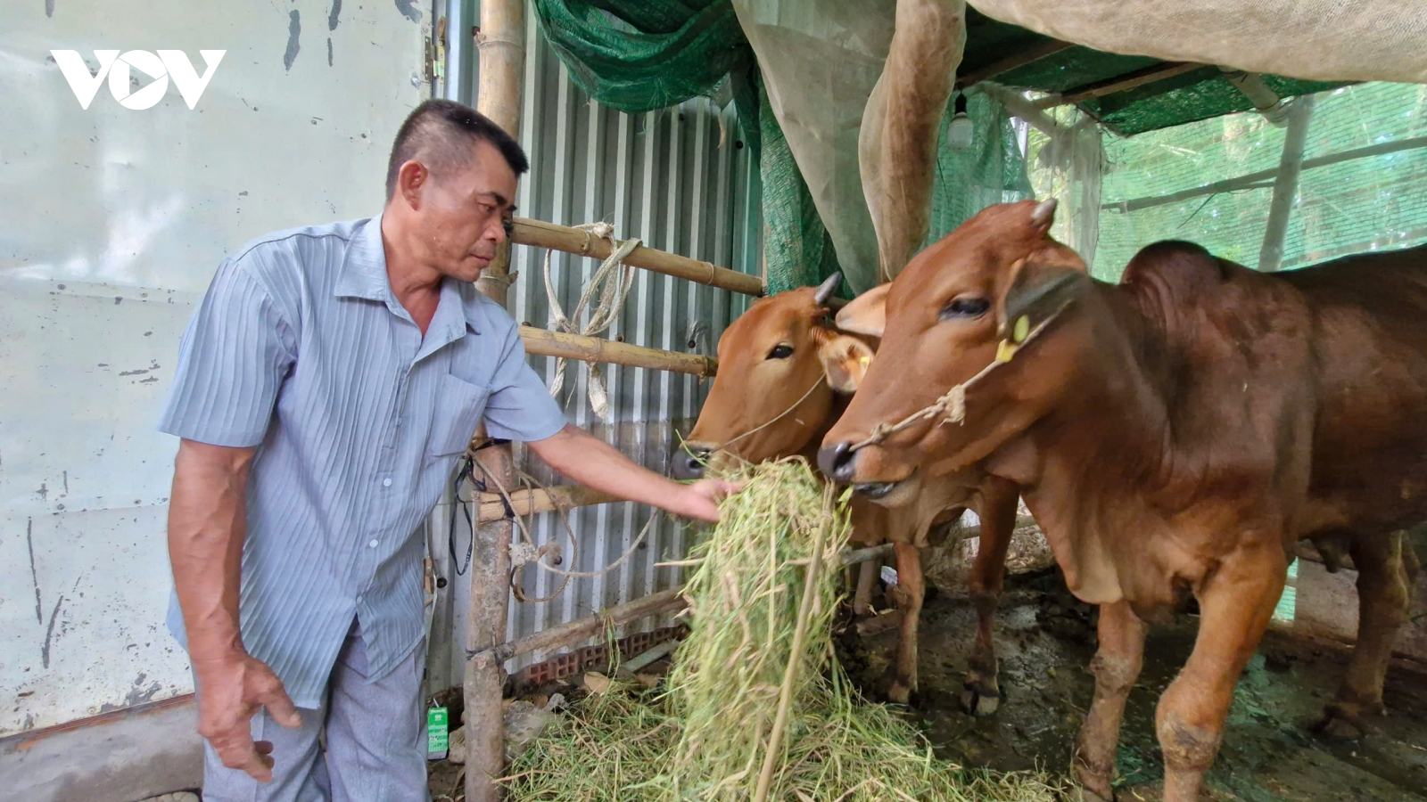 Sóc Trăng: Chăm lo đời sống đồng bào dân tộc Khmer