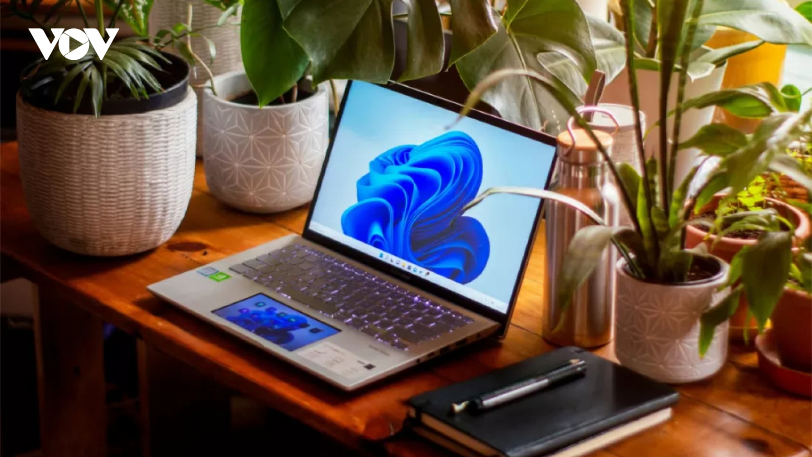 Microsoft cần 1.371 ngày để Windows 11 vượt mặt Windows 10
