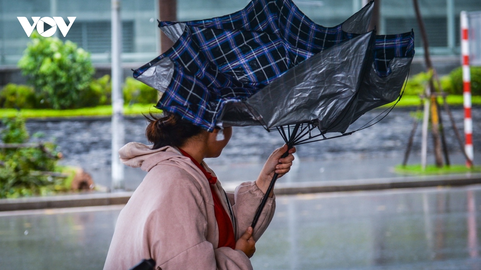 Buổi chiều Hà Nội trong ngày bão số 3 đổ bộ